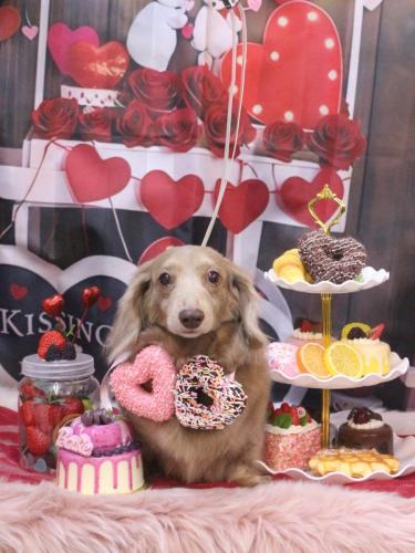 20250227ぺこちゃん